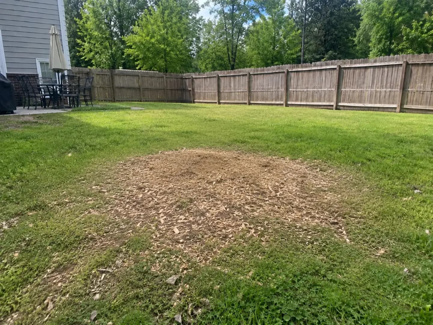 Job site cleaned up after tree work by Martin Tree and Turf Care, serving Moore, SC