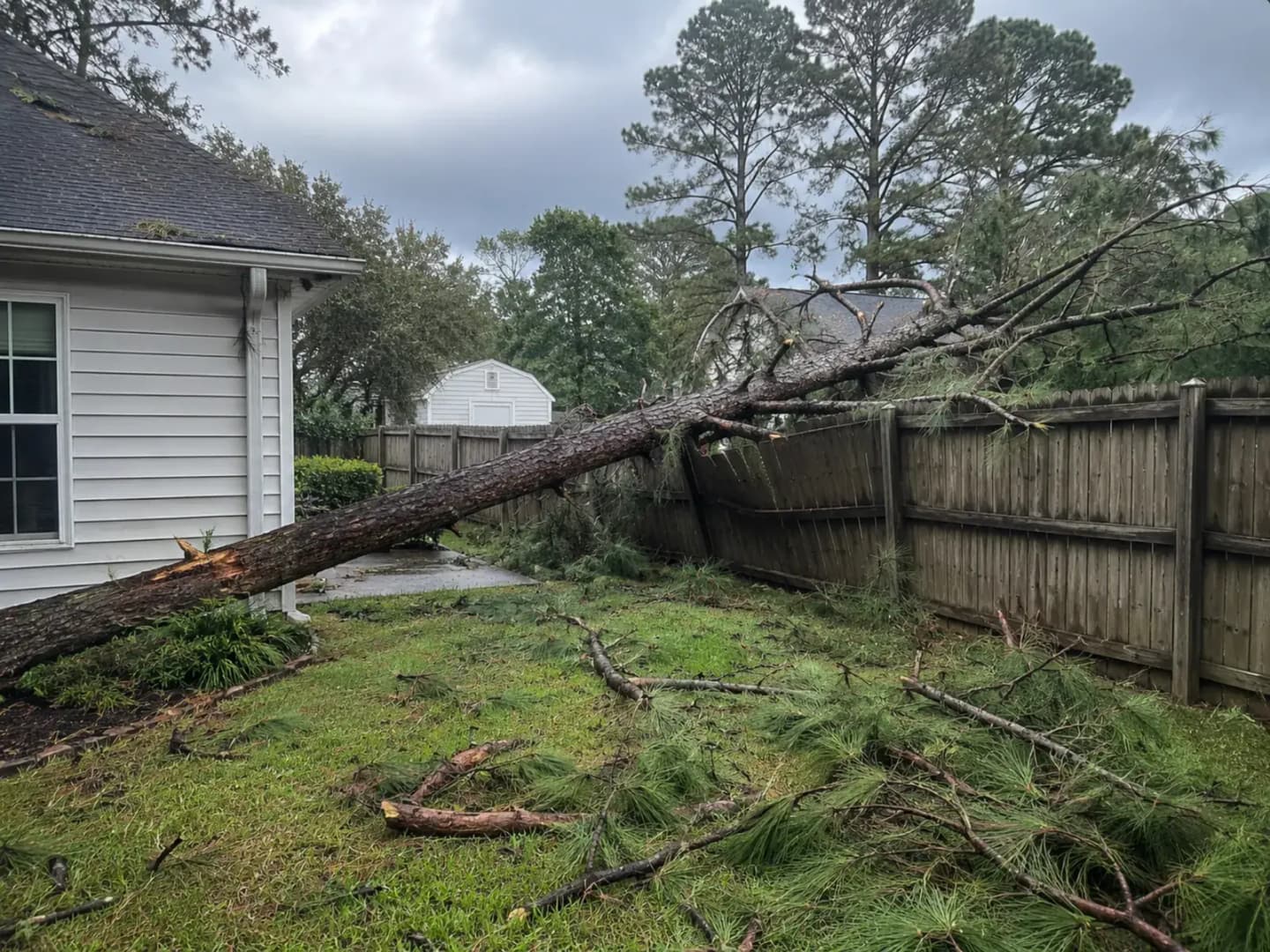 Large pine toppled across backyard fence after Upstate SC storm — debris field, limbs on ground, structure contact visible
