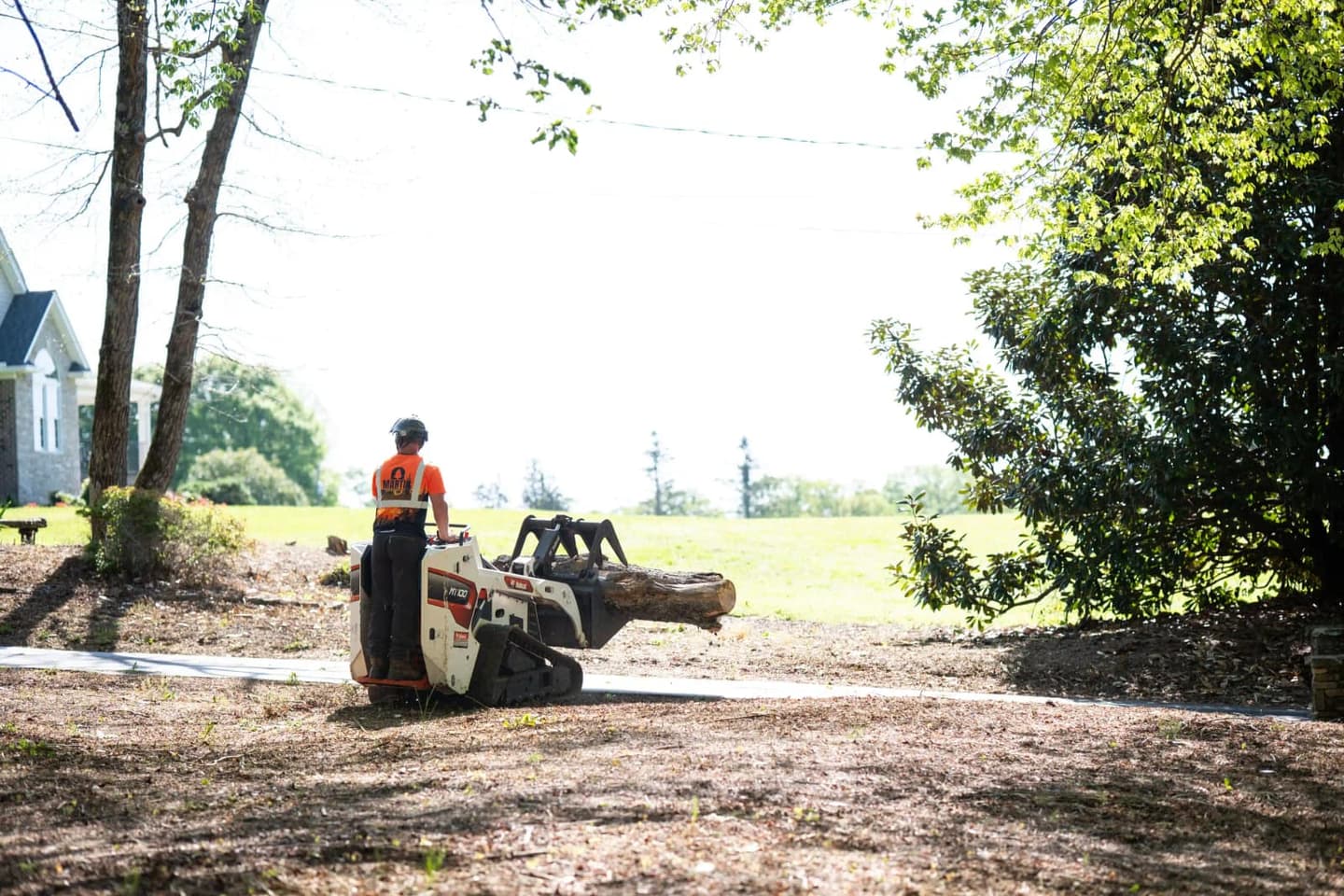 Tree service in Moore, SC — Martin Tree and Turf Care