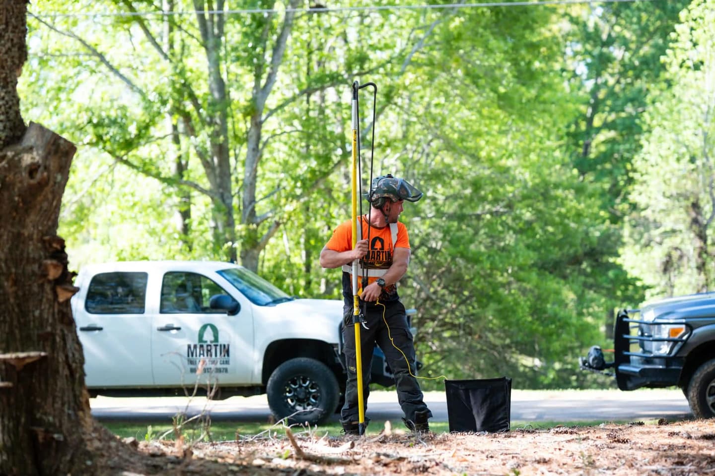 Arborist-led tree trimming crew performing crown reduction in Upstate South Carolina