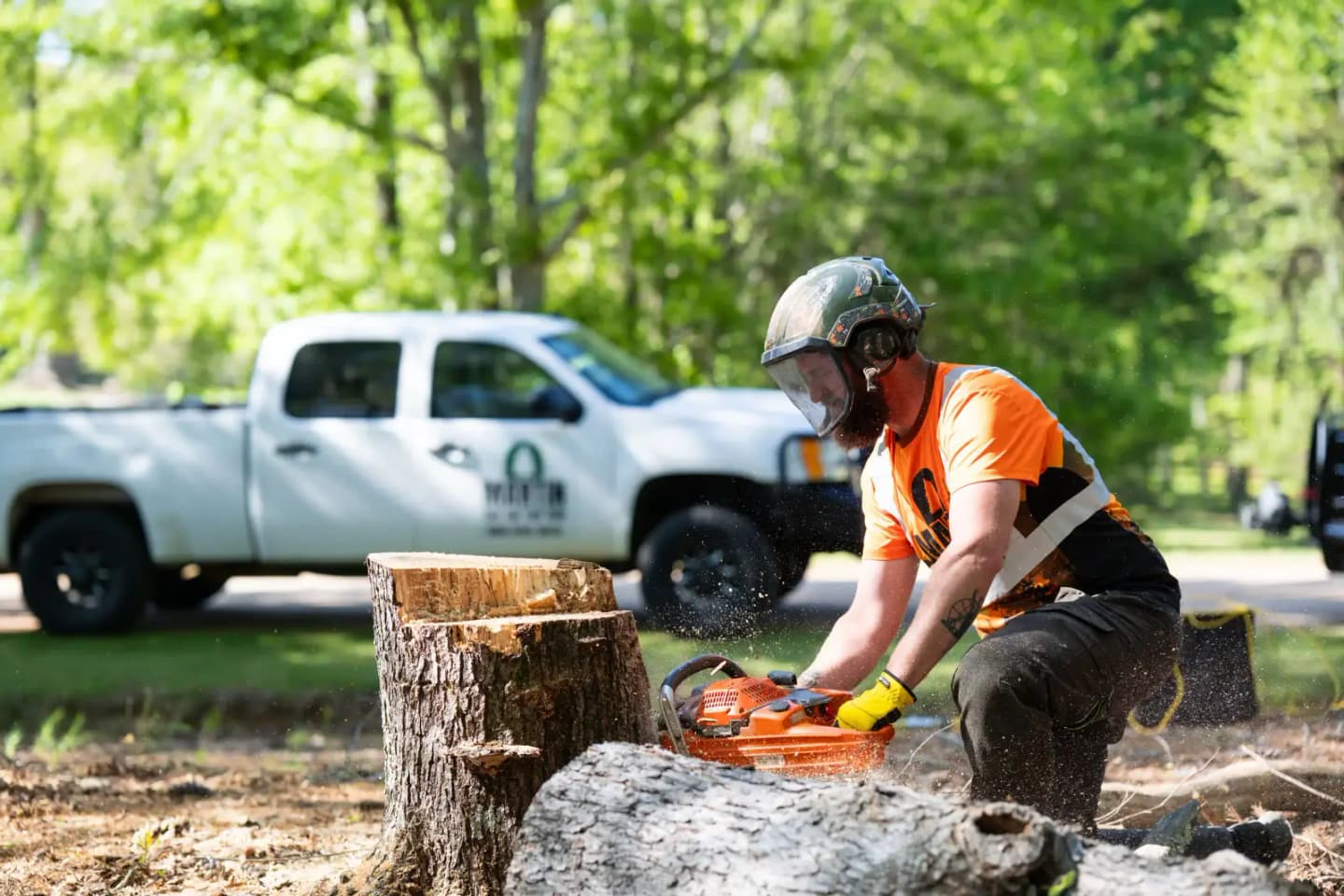 Stump Grinding in Simpsonville, SC — Martin Tree and Turf Care