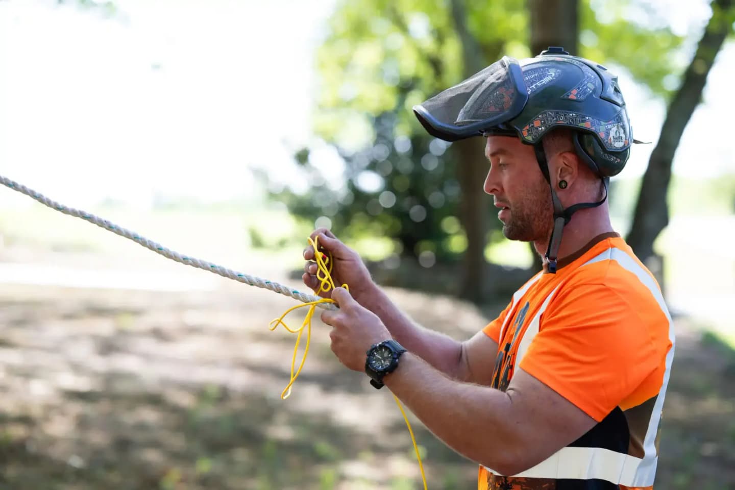 ISA-Certified Arborist James Martin working closely on a tree in Upstate South Carolina
