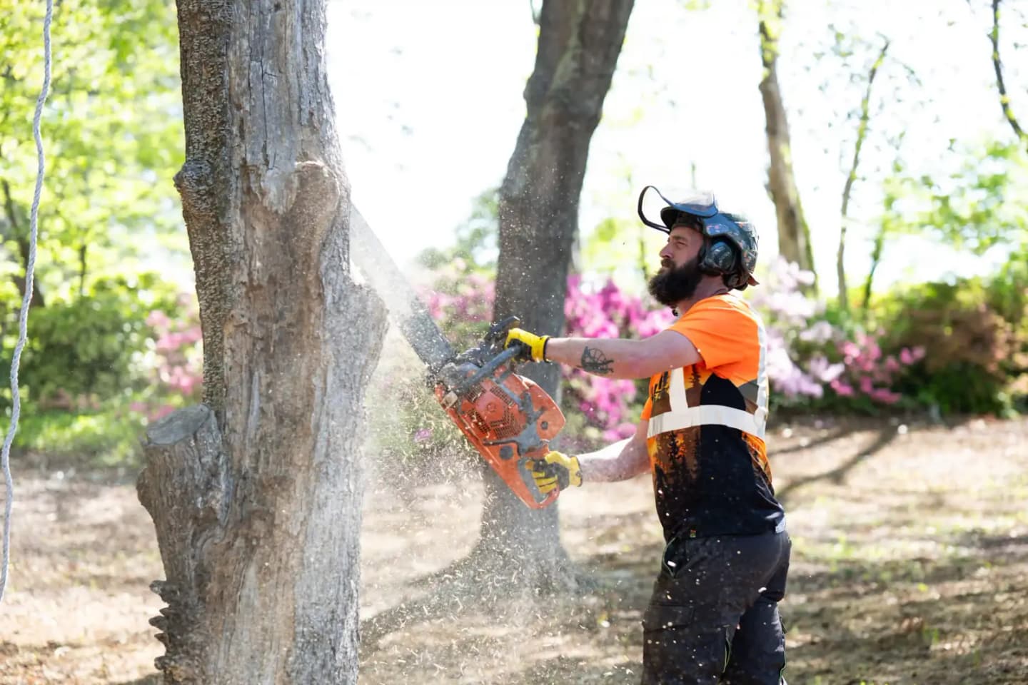 Tree service in Greenville, SC — Martin Tree and Turf Care