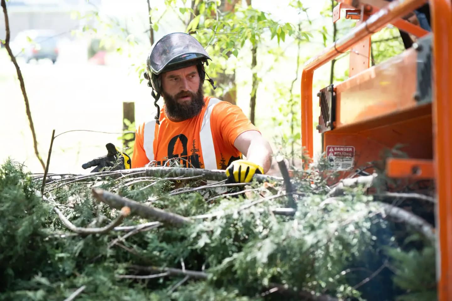 Tree service in Spartanburg, SC — Martin Tree and Turf Care