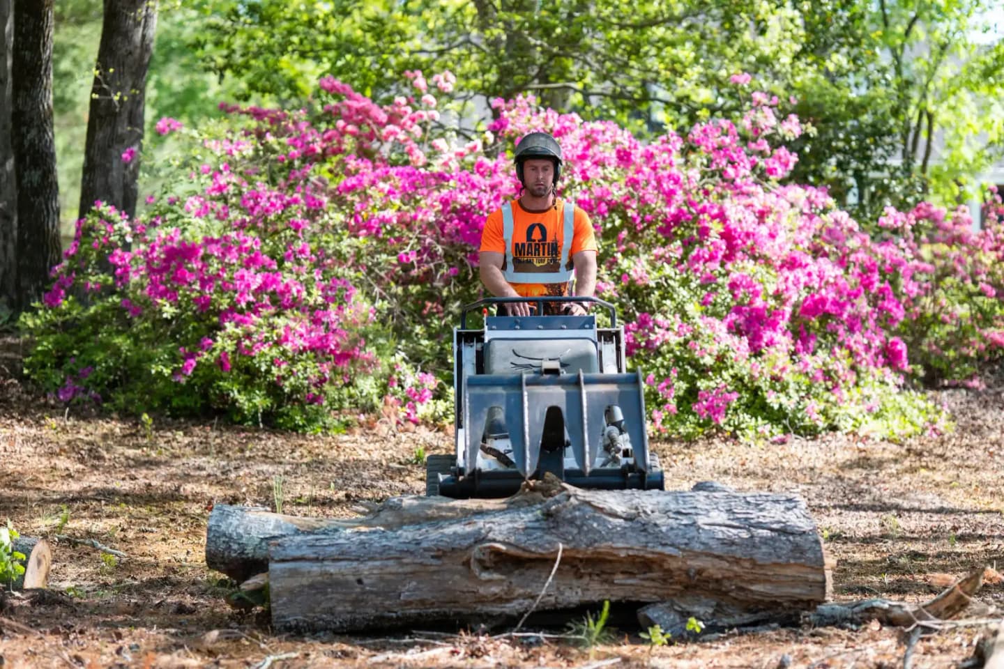 ISA-Certified Arborist James Martin working a residential tree property in Upstate South Carolina