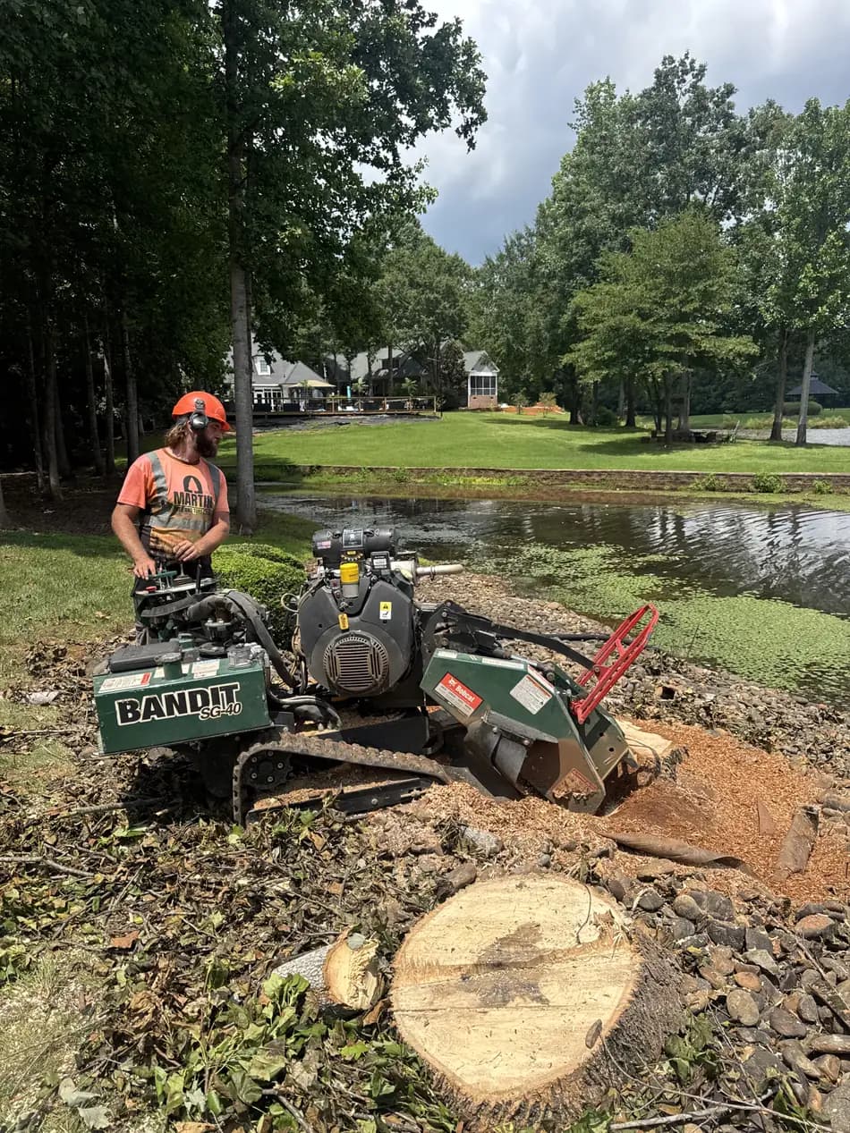 Martin Tree and Turf Care stump grinder in operation cutting a stump below grade