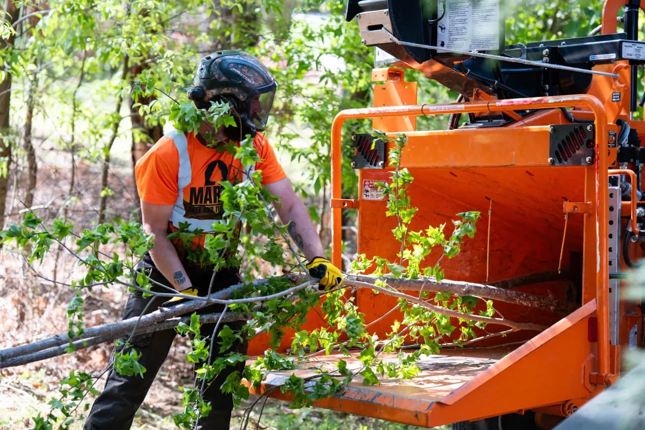 Martin Tree and Turf Care crew feeding brush into the wood chipper on a job site in Upstate SC