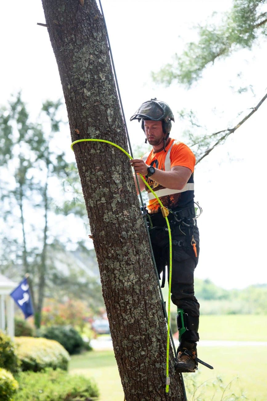 James Martin, ISA Certified Arborist — Martin Tree and Turf Care
