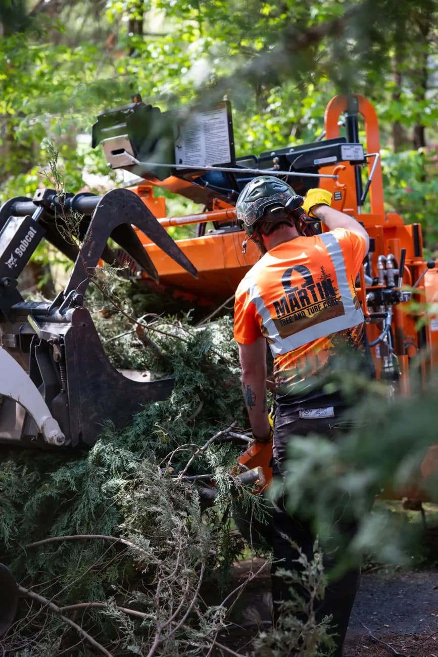 Martin Tree and Turf Care crew clearing brush with a compact loader on a land-clearing job in Upstate SC