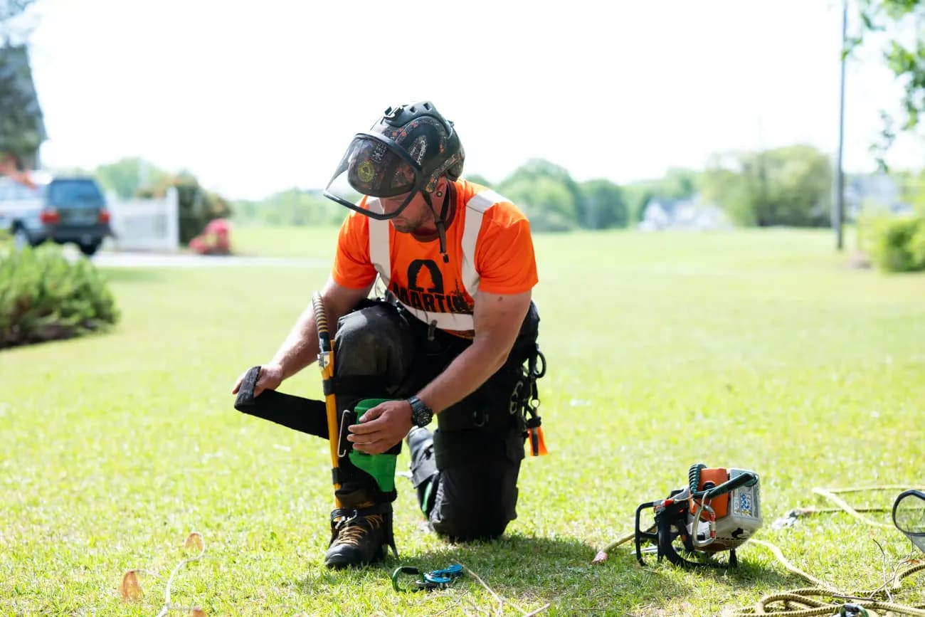 Martin Tree and Turf Care climber in full PPE — helmet, harness, chainsaw chaps — on a job site in Upstate SC