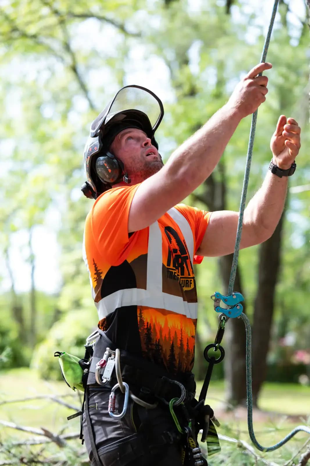 Climber performing overhead clearance pruning high in a tree in Upstate South Carolina