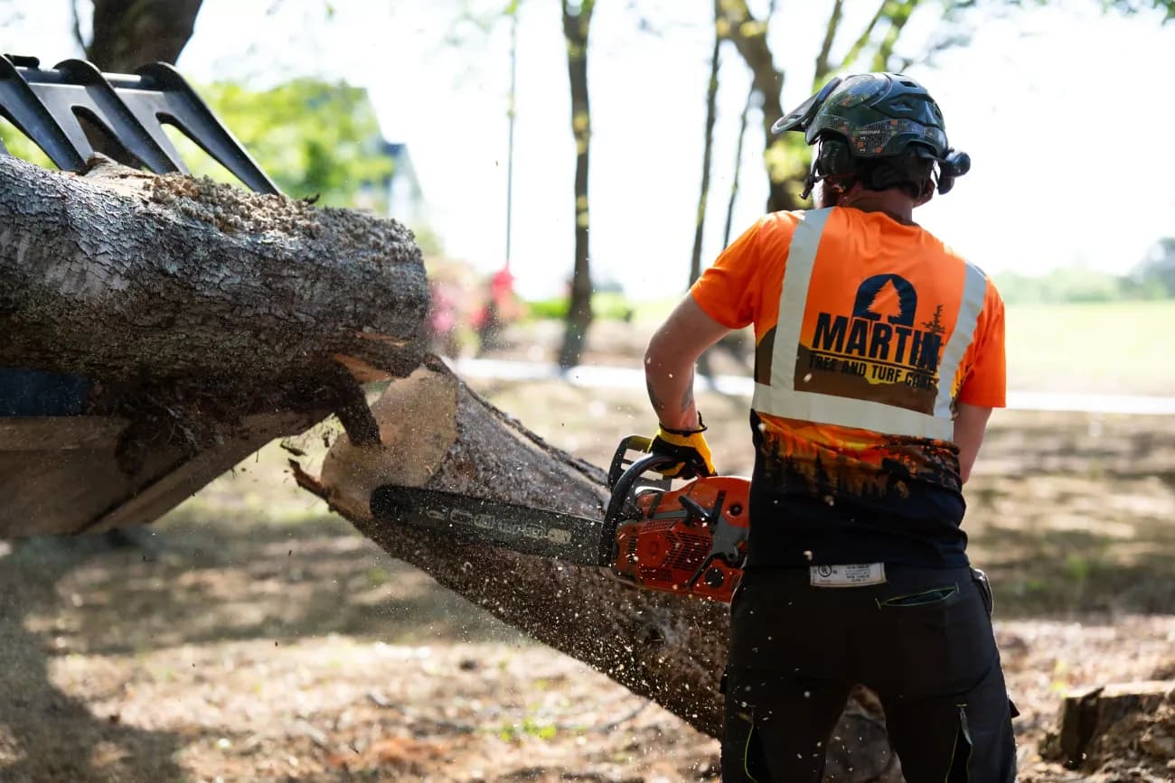 Martin Tree and Turf Care cutting a log in the skid-steer forks on an Anderson SC job — referenced in a 5-star review