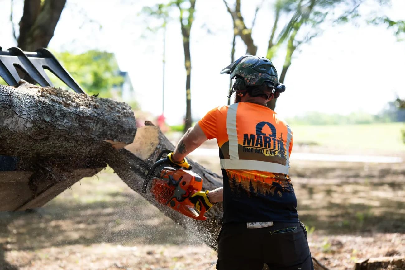 Martin Tree and Turf Care sectioning a large log during a tree removal in Greenville SC — job referenced in a 5-star review