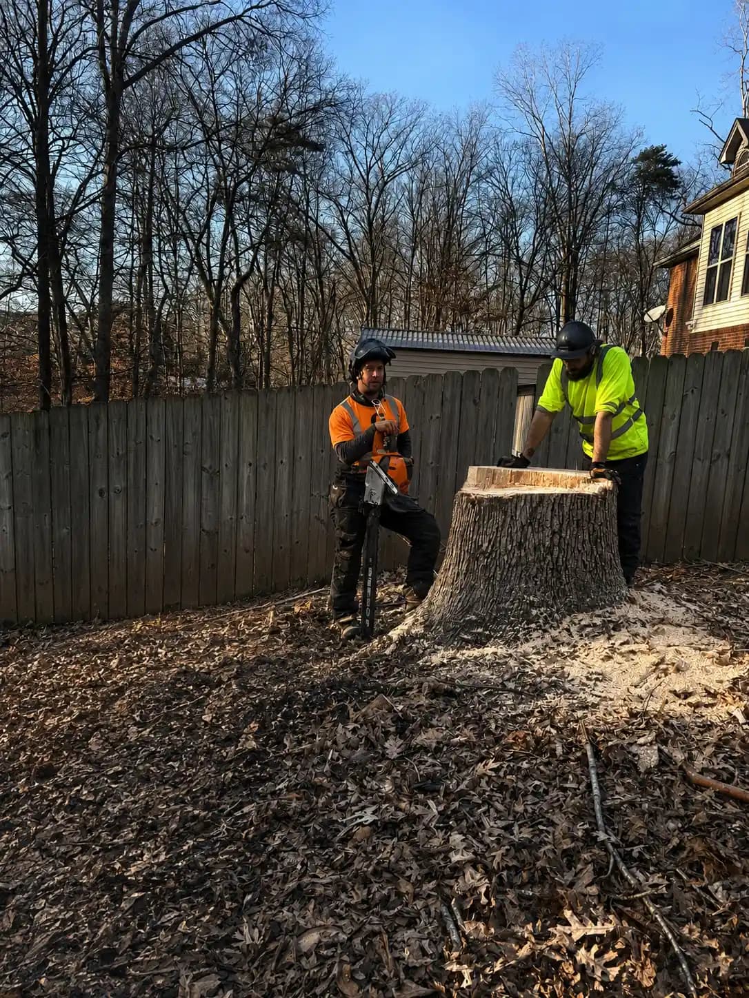 Martin Tree and Turf Care crew cutting down a large stump in a fenced Upstate SC backyard