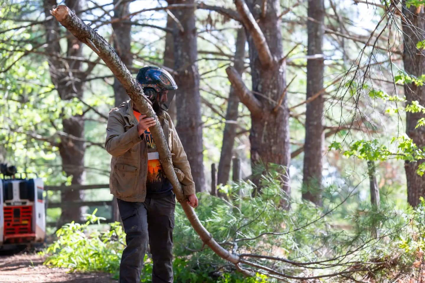 Martin Tree and Turf Care crew clearing brush while protecting mature trees during construction in Upstate South Carolina