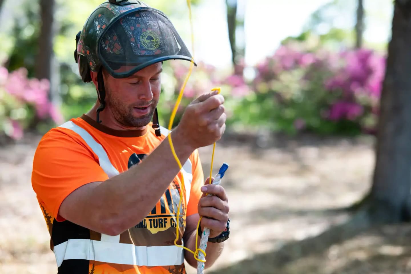 ISA Certified Arborist James Martin inspecting a tree during a risk assessment in Upstate South Carolina
