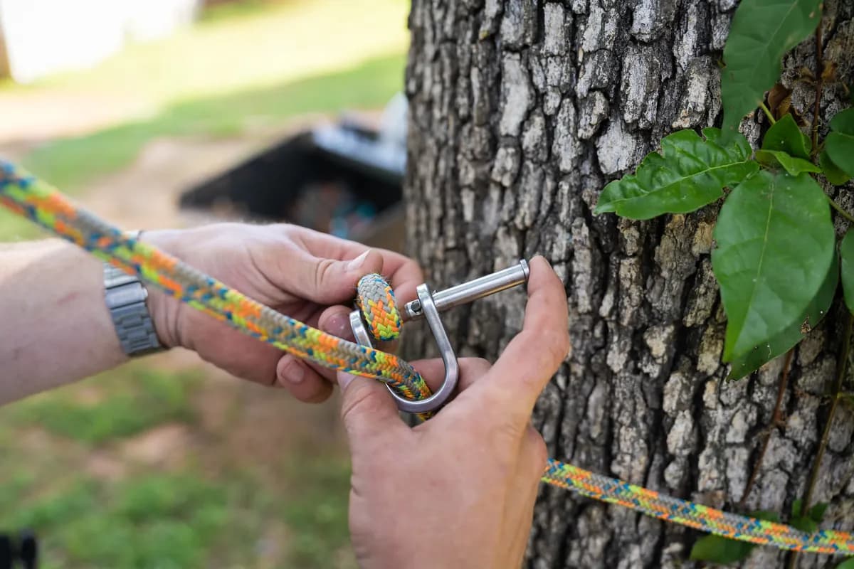 ISA Certified Arborist completing a written tree risk assessment on-site at a residential property in Greenville County